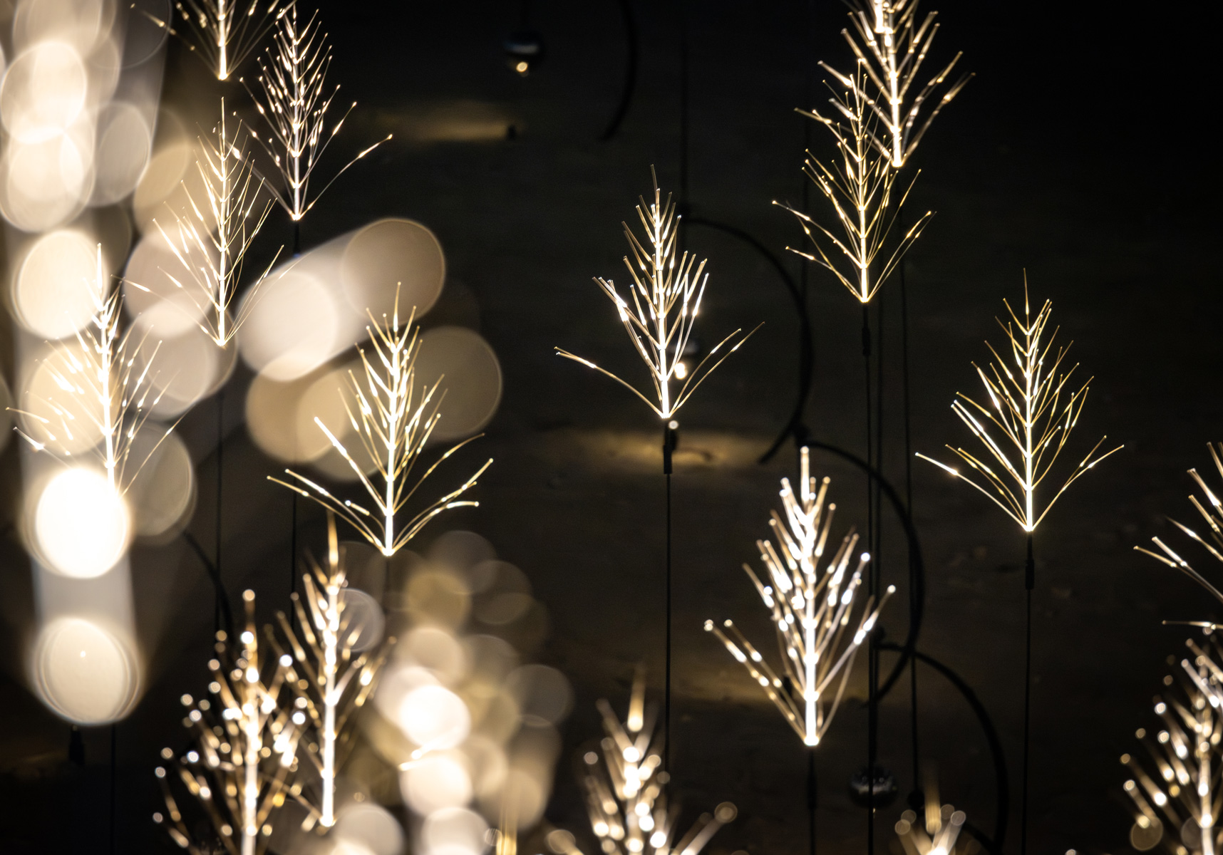 Manar lights up Abu Dhabi 